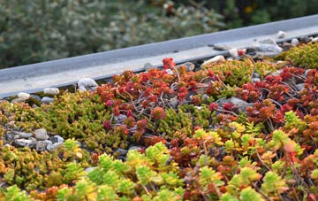 the cost of South Harting green roof installation