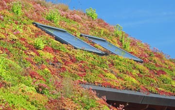 South Harting living roof systems